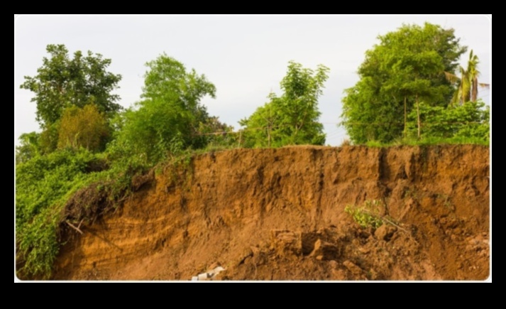 De ce anumite peisaje sunt mai predispuse la eroziunea solului din cauza activităților umane?