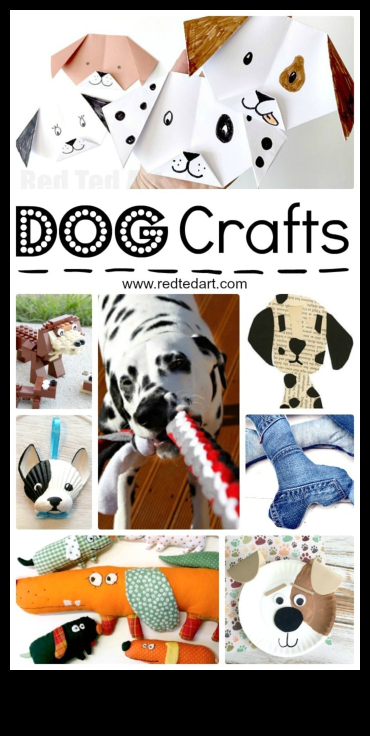 Canine Crafts Corner: Proiecte creative pentru iubitorii de câini