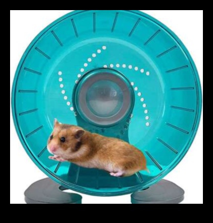 Alternative cu roți de hamster: diversificarea opțiunilor de exerciții fizice