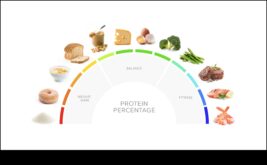 Dietele bogate în proteine ​​prietene sau dușmani pentru sănătatea comună